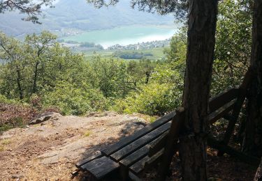 Tocht Te voet Tramin an der Weinstraße - Termeno sulla Strada del Vino - IT-523 - Photo