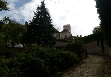 Randonnée Marche Vézelay - Autour de Vézelay - Photo