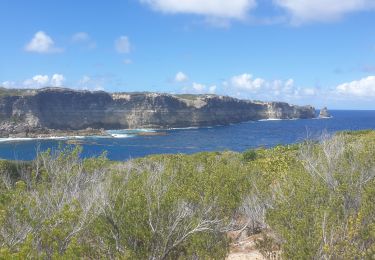 Trail Walking Anse-Bertrand - Porte d'Enfer - Pointe du Souffleur - Photo