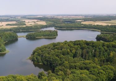 Excursión A pie Ziethen - Wanderweg durch die Garrenseerinne zum Salemer Moor - Photo