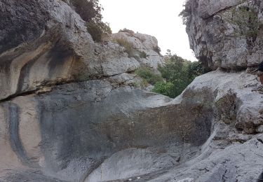 Randonnée Marche Auriol - Ste Baume - Auriol :  Les trois ravins  - Photo