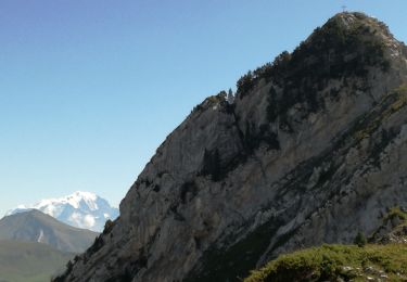 Tour Wandern Serraval - TOUR DE L'AIGUILLE DE SERRAVAL - Photo