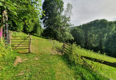 Trail Walking Plainfaing - plainfaing auvernelles - Photo