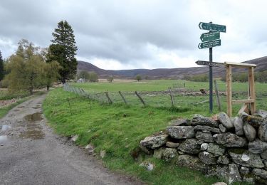 Percorso A piedi  - Mounth Road - Photo