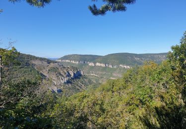 Trail Walking Millau - potensac in live - Photo