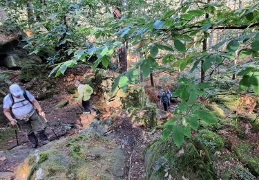 Trail Walking Fontainebleau - T1-Grotte Beatrix  - Photo