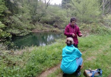 Trail Walking Saissac - muguet - Photo