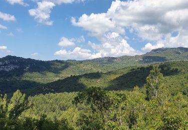 Tour Wandern Cuges-les-Pins - la Curasse - Photo