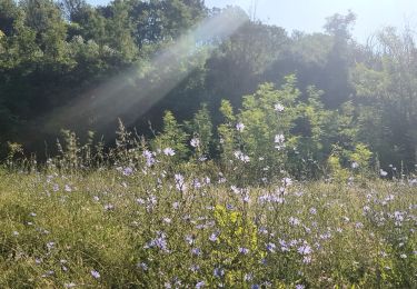 Randonnée Vélo de route Lorgues - voie verte Lorgues Salernes Sillans - Photo