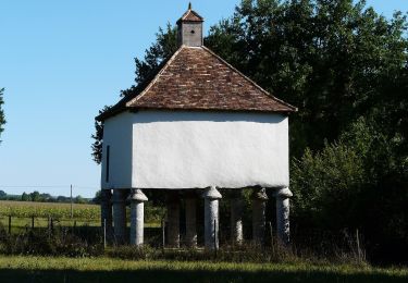 Trail On foot Rouffignac-de-Sigoulès - Boucle de Rouffignac de Sigoulès - Photo