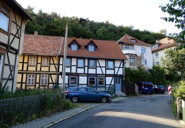 Tocht Te voet Wernigerode - Laufstrecke Männer Wernigeröder Fünfkampf - Photo