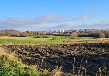 Trail Walking Charleroi - monc - Photo