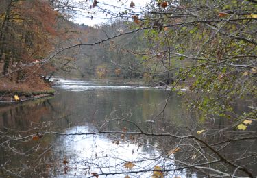 Tour Wandern Herbeumont - RB-Lu-23_Herbeumont - Photo