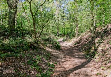 Randonnée A pied  - Pottbäckerweg - Photo