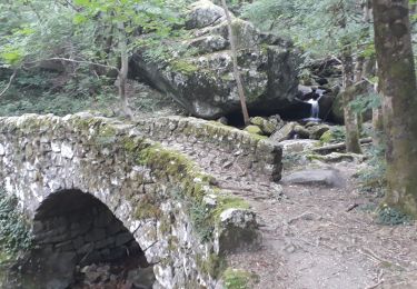 Trail Walking Thueyts - mercier - Photo