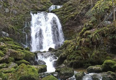 Randonnée Marche Septmoncel les Molunes - 25-02-24 cascade Moulin d'Aval - Photo