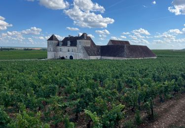 Randonnée Marche Vougeot - Autour de Clos Vougeot - Photo