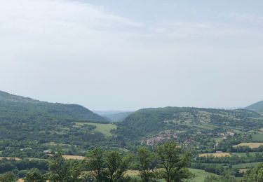 Trail Walking Nant - Nant sainte eulalie  - Photo
