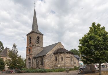 Trail On foot Saint-Donat - Bertinet - Photo