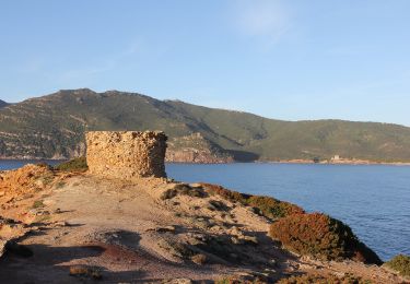 Percorso A piedi Alghero - Sentiero della Costa - Photo