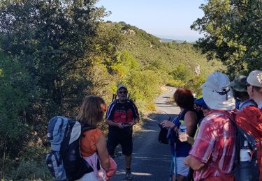 Tocht Stappen Saint-Pierre-des-Champs - le Mont Major - Photo