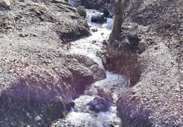 Trail Walking Chapareillan - lac-noir-28-03-23 - Photo