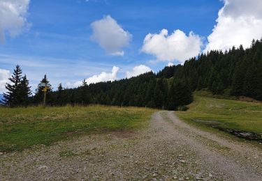 Tour Wandern Theys - Col du Merdaret, Roche Noire au départ de Pipay  - Photo