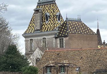 Excursión Senderismo Aloxe-Corton - Alox, Corton - Photo