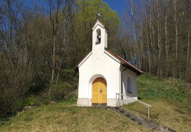 Excursión A pie Deining - Jurasteig Mariahilfschlaufe - Photo