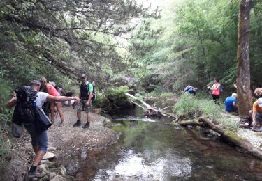 Tocht Stappen Tourves -  Gorges du Caramy plan A - Photo