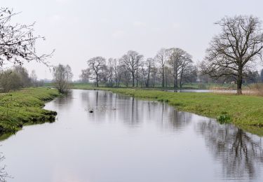 Tocht Te voet Delbrück - A3 (Steinhorster Becken) - Photo