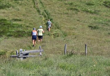 Trail Walking Orcival - 2025-06-21 Le Lac de Serviere - Photo