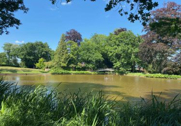 Excursión Senderismo Haacht - Wespelaar: Haachts Broek et Antitankgracht - Photo