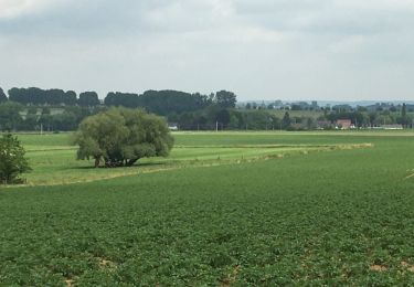 Tour Wandern Leuze-en-Hainaut - Leuze Marcheurs Souvenir Leuze-en-Hainaut - Photo