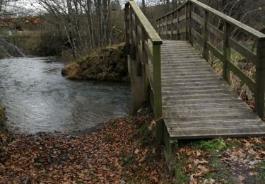 Tour Wandern Neufchâteau - Neufchâteau - Photo