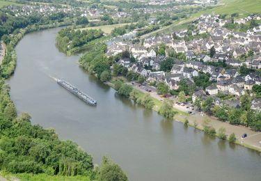 Tour Zu Fuß Bernkastel-Kues - Burg-Olymp-Tour - Photo