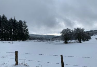 Trail Walking La Roche-en-Ardenne - Autour de Samree  - Photo