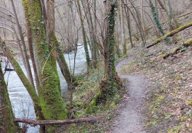 Excursión Marcha nórdica Doische - vallée de l hermeton  - Photo