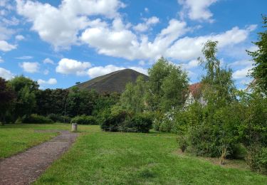 Randonnée Marche Loos-en-Gohelle - Lens - Photo