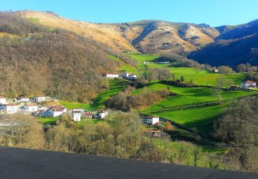 Excursión A pie Arnéguy - Camino Francés (Alternative) - Photo