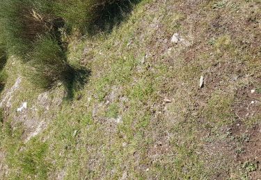 Tour Wandern Breil-sur-Roya - col de brouis - Photo