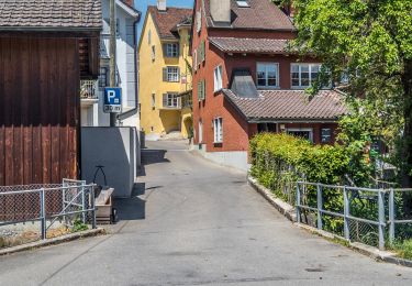 Tocht Te voet Beromünster - Schwarzenbach - Beromünster - Photo