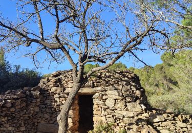 Tocht Stappen Caunes-Minervois - la carrière du Roy - Photo