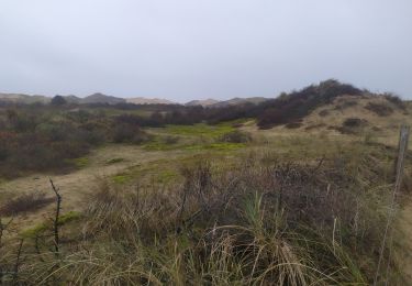 Tour Wandern Wimereux - Wimereux dunes de la sclak - Photo