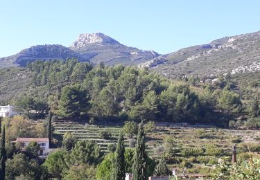 Excursión Senderismo Roquevaire - Garlaban au départ de Lascours  - Photo