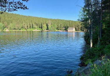 Tocht Te voet Onbekend - Ammerud natursti - Photo