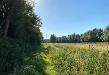 Tocht Stappen Vilvoorde - Vilvorde 7,6 Km  - Photo