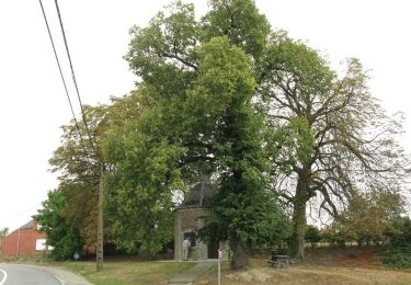 Tocht Te voet Kortenaken - A Speculowandelpad - Photo