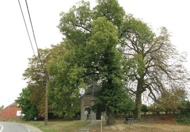 Randonnée A pied Kortenaken - A Speculowandelpad - Photo