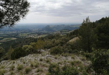 Tocht Stappen Saint-Hippolyte-le-Graveyron - Le graveron petit circuit  - Photo